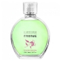 Luxure Evergreen - woda perfumowana 100 ml